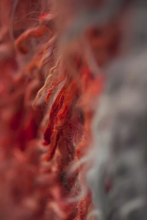 Cotton vs. Wool: An Honest Comparison (With No Hidden Agenda)