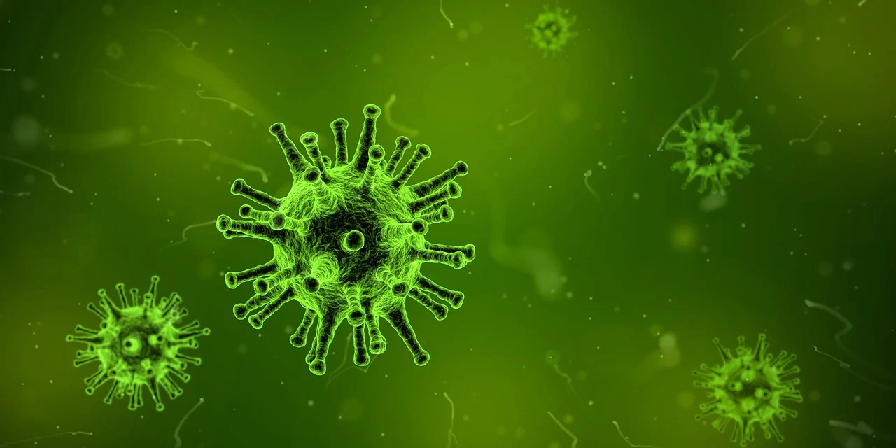 Sleep and Your Immune System: The Research Is Alarming